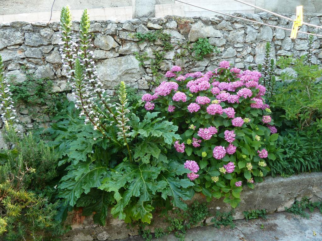 Apartment Nada Veli Lošinj Exteriör bild