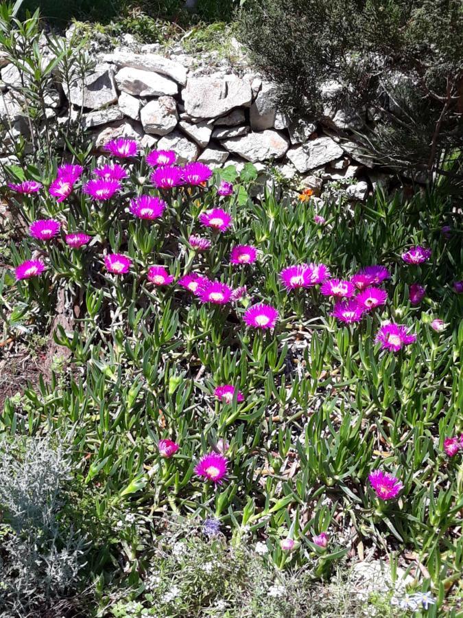 Apartment Nada Veli Lošinj Exteriör bild